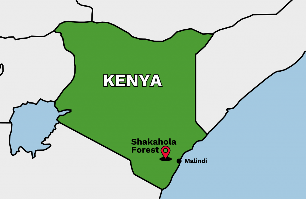 mappa Shakahola