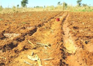 desertificazione in africa