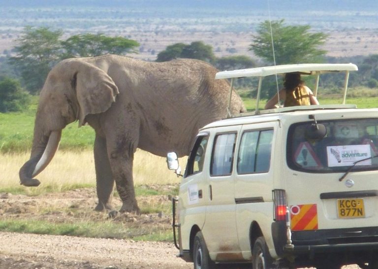 turismo in Kenya